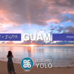 タモンビーチ|DCGO-Pro