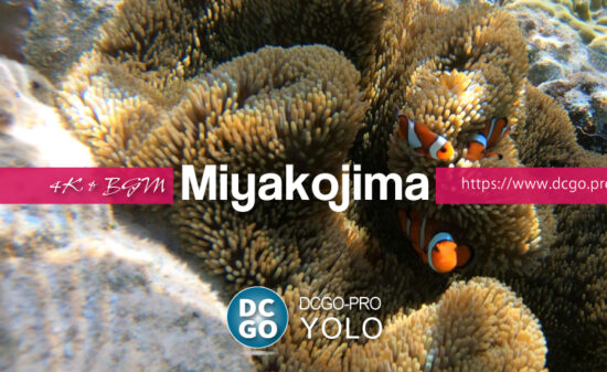 宮古島｜DCGO-Pro